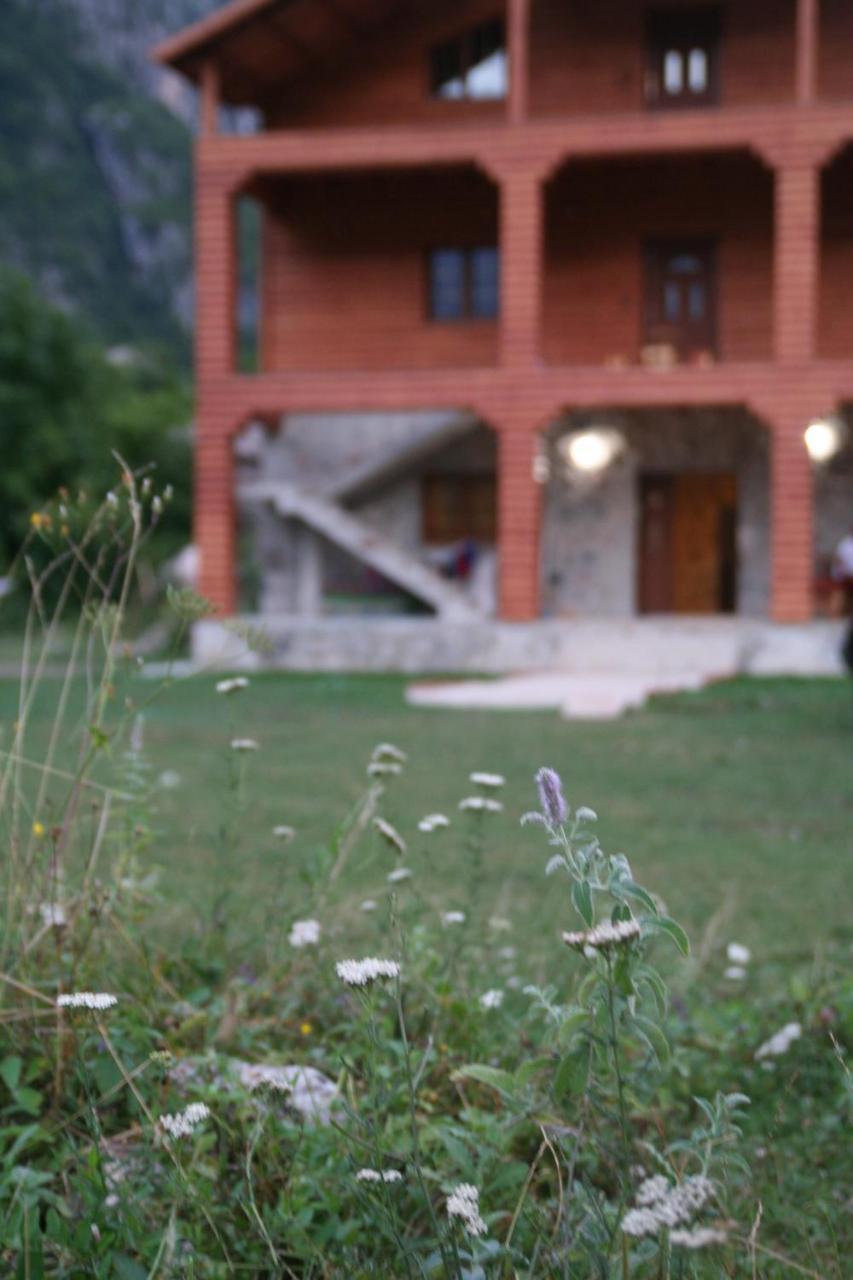 Hotel Bujtina Dreni à Theth Extérieur photo